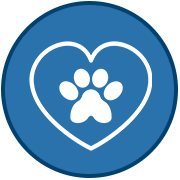 pet vaccination icon